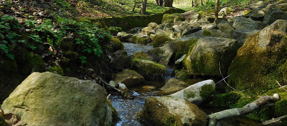 QIGONG - KÖRPER - GEIST -SEELE