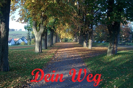 Gehe deinen Weg Qigong Paderborn 